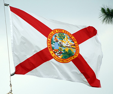 bandera del estado de florida