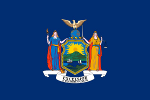 new york state flag